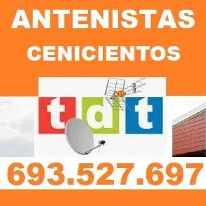 Antenistas Cenicientos